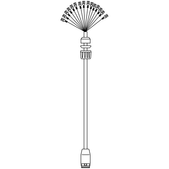 ASPÖCK Zuleitung, Verteiler 17-polig ASS LP 20, 1,50 m, open end - 65-1016-027